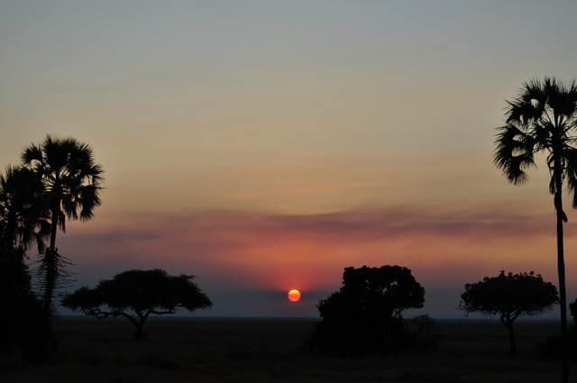 Nationalparks Tansanias: Katavi Nationalpark