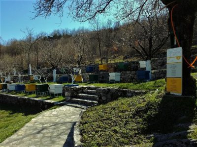 Montenegro highlight bees