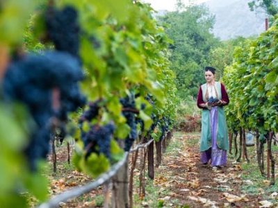 Montenegro Highlight Wein