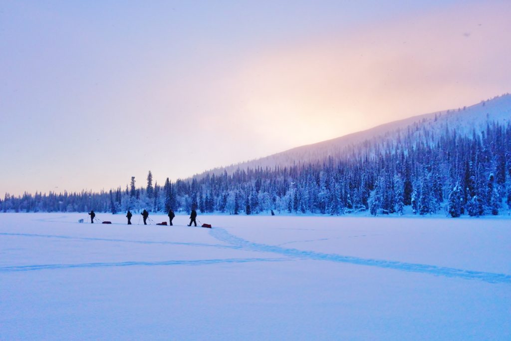 Endlose Schneelandschaft Im Atemberaubenden Finnland