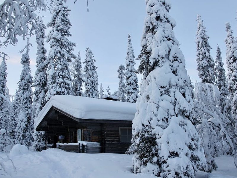 Wilderness hut