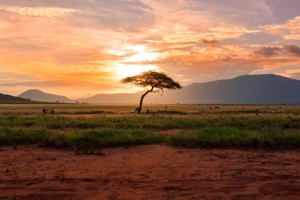 Damit Auch Auf Deinem Kenia Abenteuer Die Sonne Scheint, Achte Auf Die Beste Reisezeit