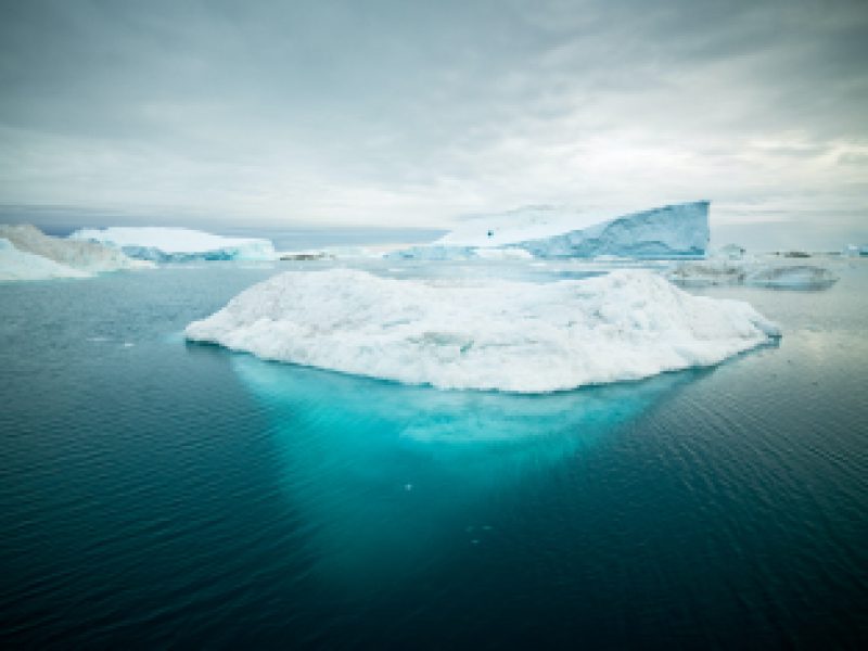 Greenland icebergs