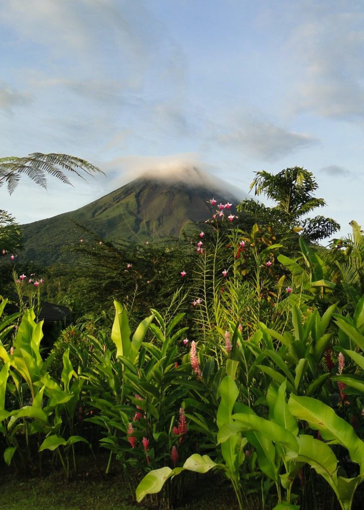 Satter, Grüner Regenwald In Costa Rica Mit Vulkan Im Hintergrund