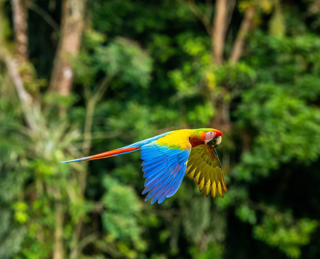 Nachhaltig Reisen In Costa Rica
