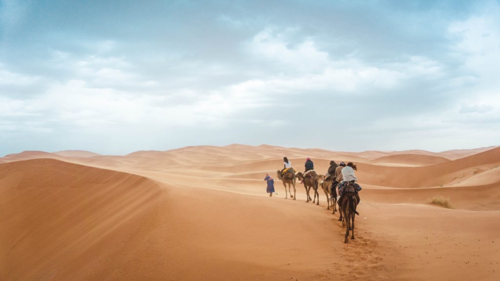Abenteuerreise In Der Wüste