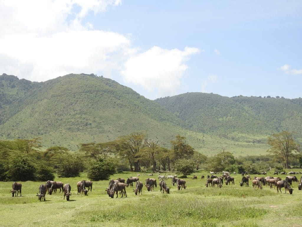 Unesco-Weltnaturerbe In Tansania