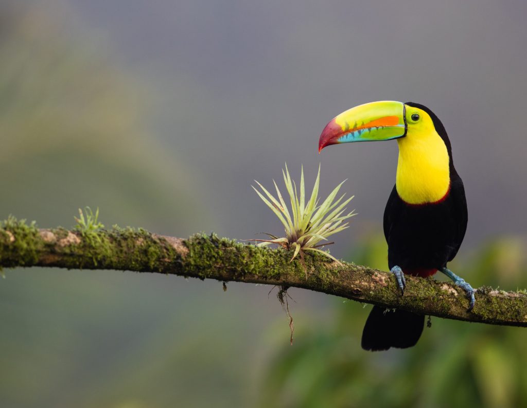 Abenteuerreise Costa Rica