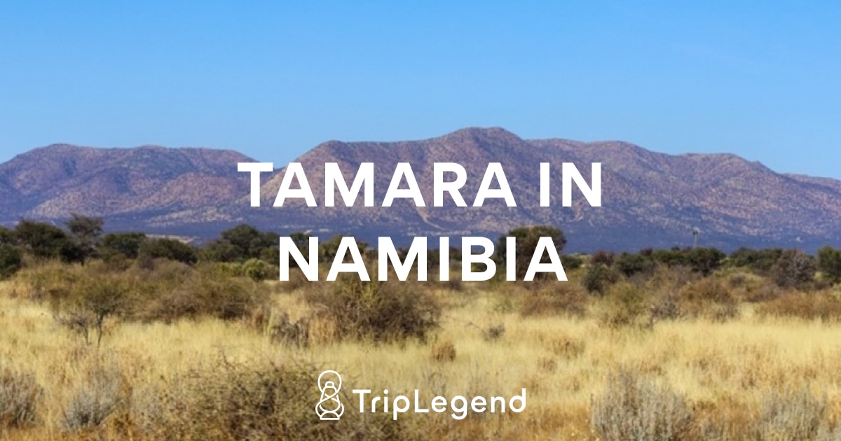 Review Namibia