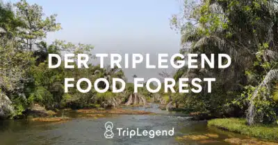 Der Triplegend Nahrungswald - Food Forest