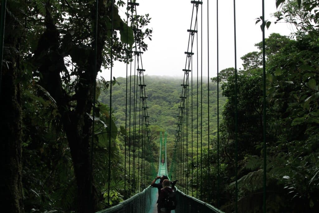 Monteverde En Costa Rica