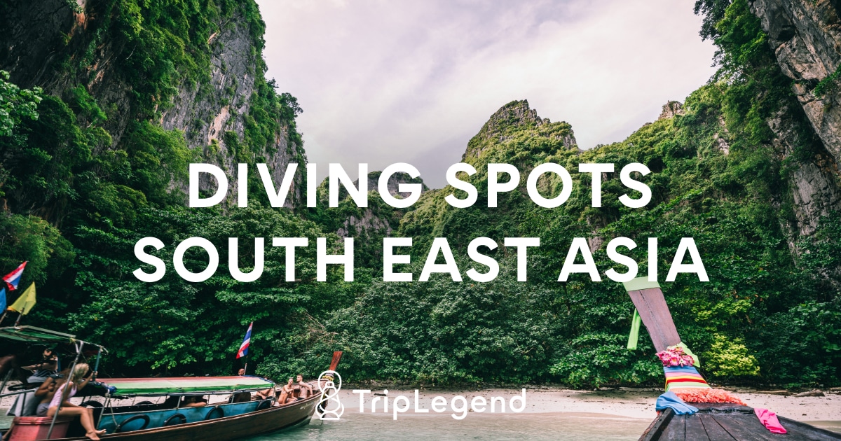 The 6 best dive spots in Southeast Asia - a journey into the colorful  underwater world