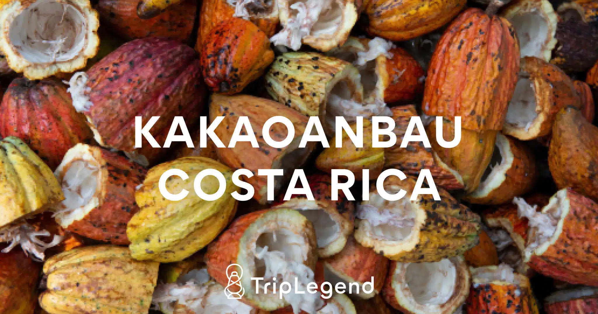 Kakao Costa Rica3 Scaled.jpg