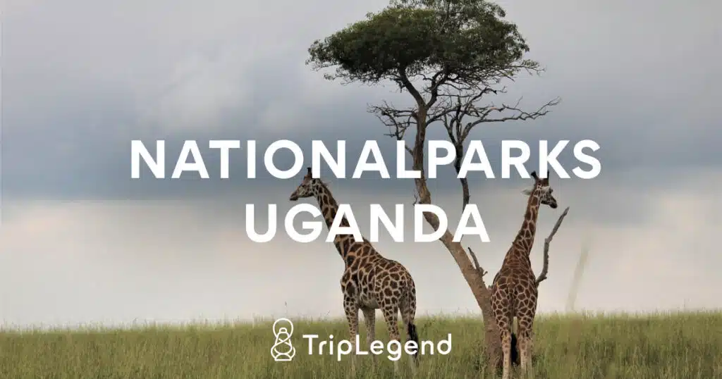 Nationalparks Uganda