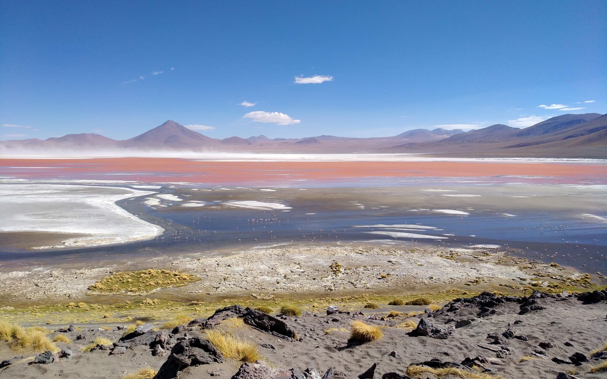 Der Laguna Colorada, ein roter See, in dem Flamingos leben, im Hintergrund lila schimmernde Berglandschaften.