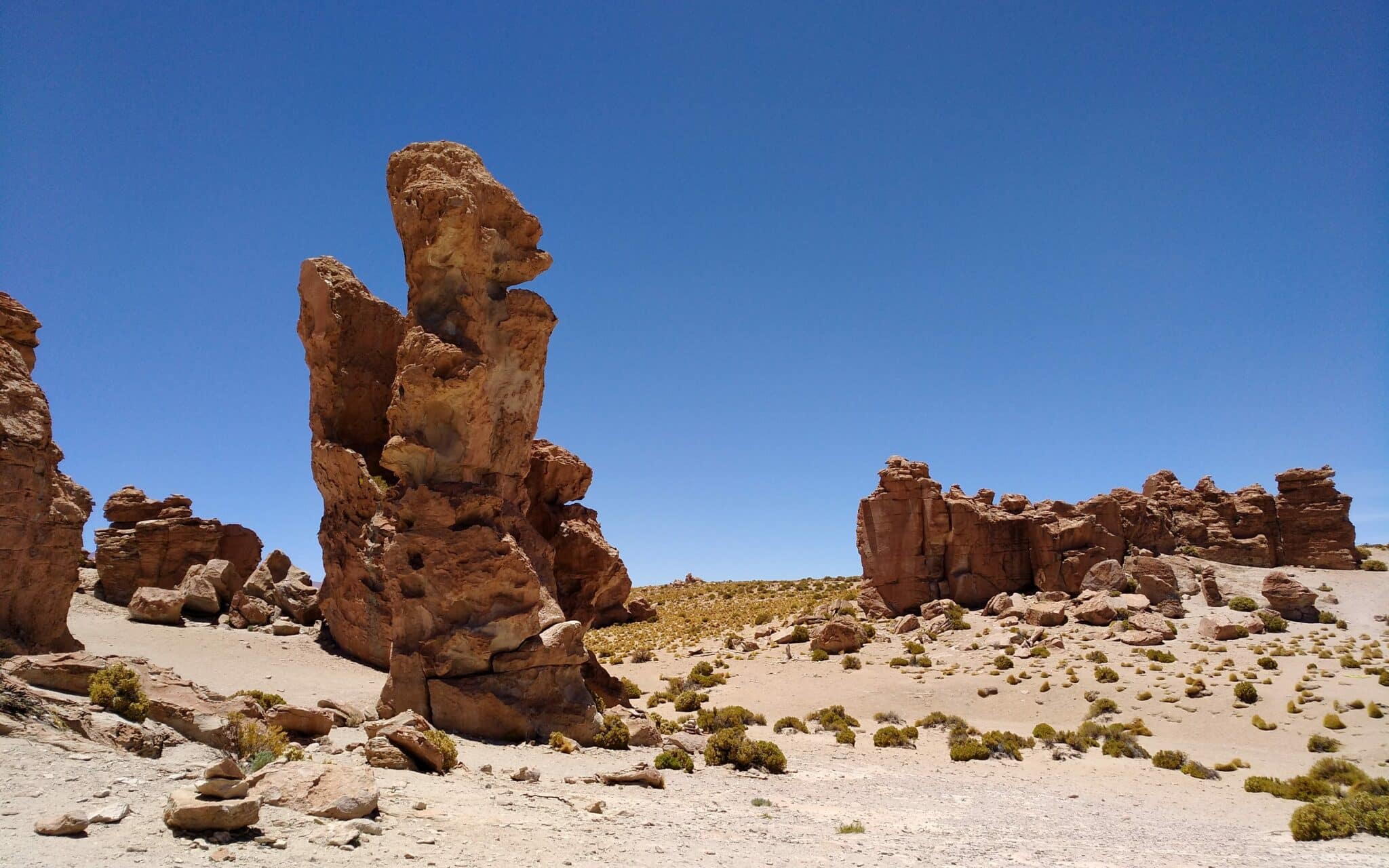 Formazioni rocciose alte un metro che hanno una forma particolare.