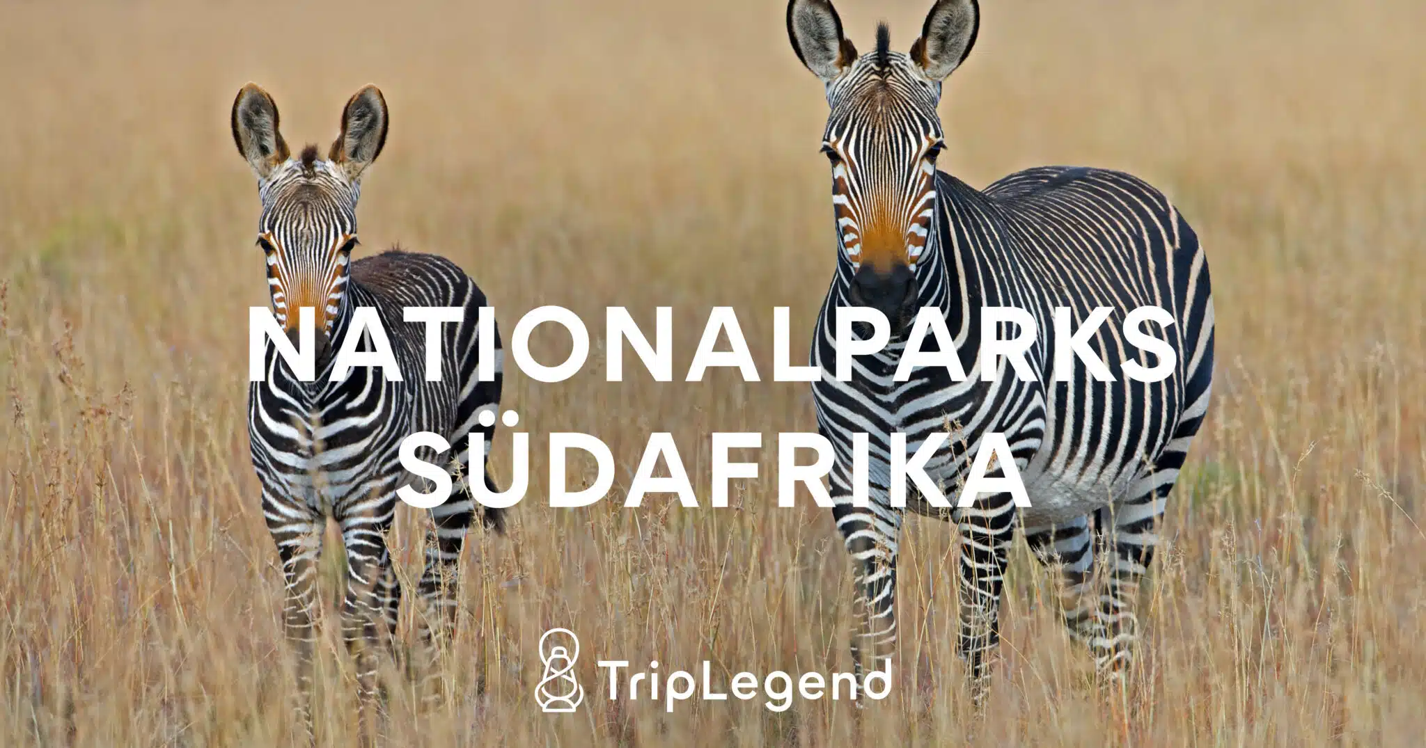 Parcs nationaux d'Afrique du Sud Scaled.jpg