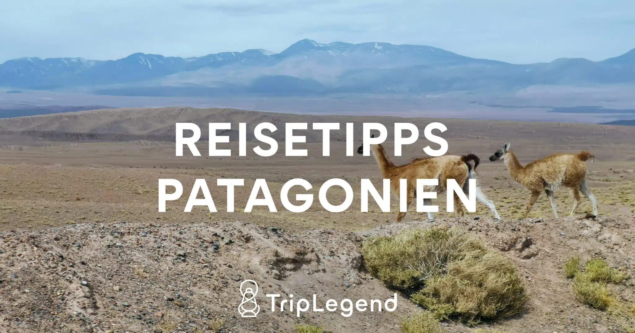 Beitragsbild für den Artikel Reisetipps Patagonien
