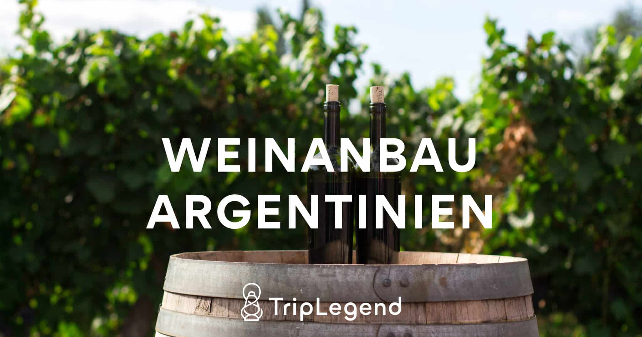 Weinanbau Argentinien Scaled