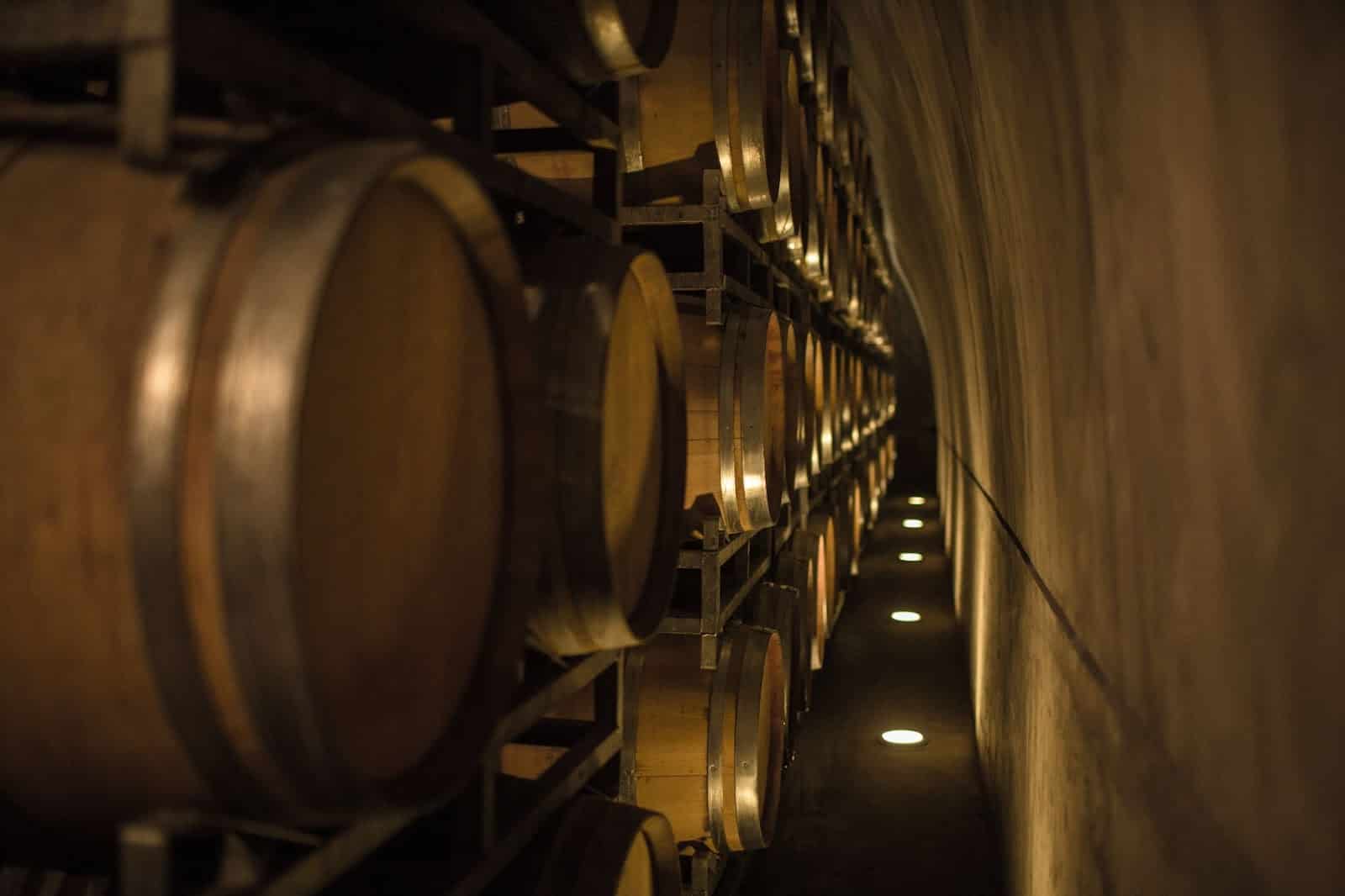 Wine Barrels In Argentina