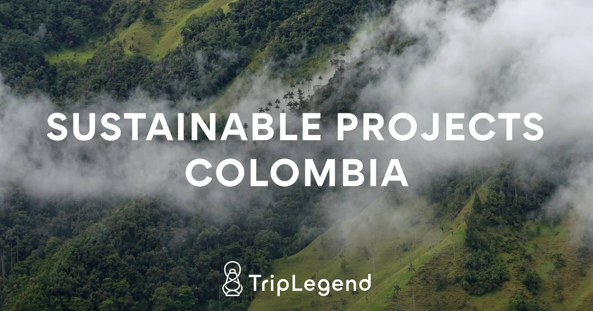 Contribution image for the article sustainable projects in Colombia