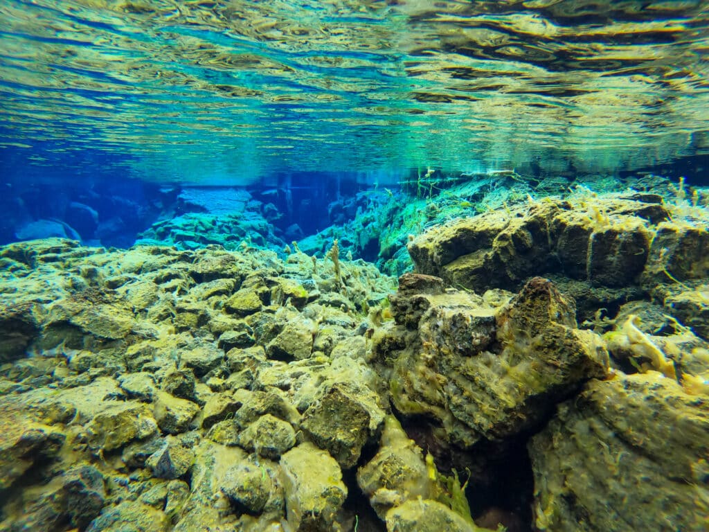 Snorkeling between the continental plates
