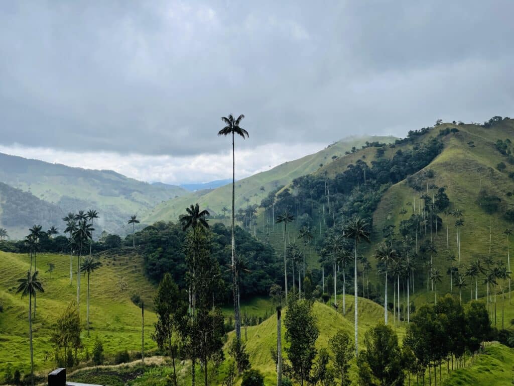La nature de la Colombie
