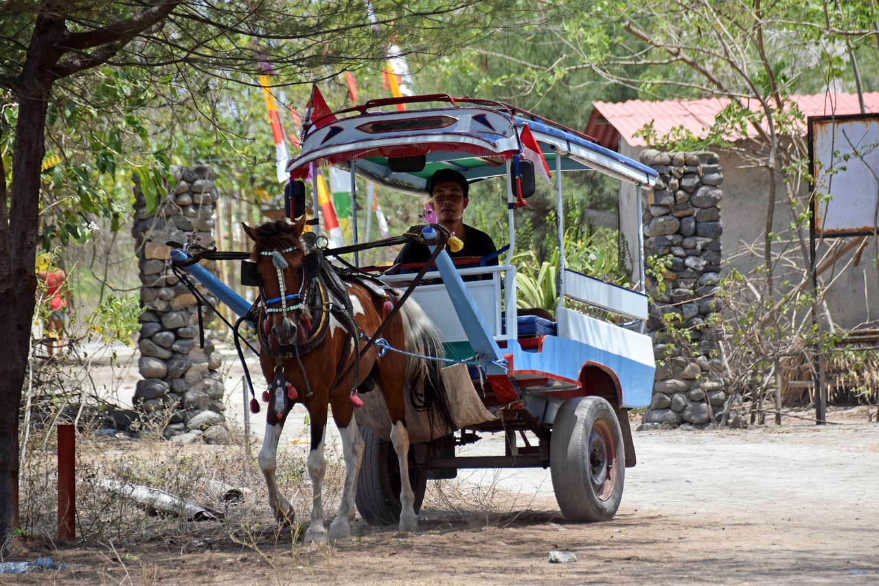 A horse-drawn carriage, known under the name Cidomo.