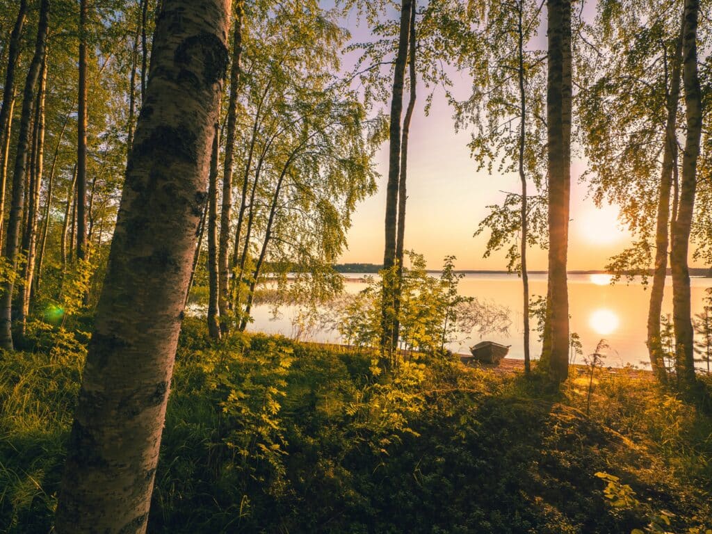 The picture shows a forest in Finland at sunset. In the background you can see a lake and a boat on the shore.