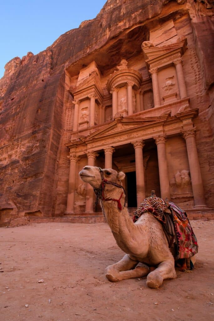 Een kameel zit voor de rotsstad Petra
