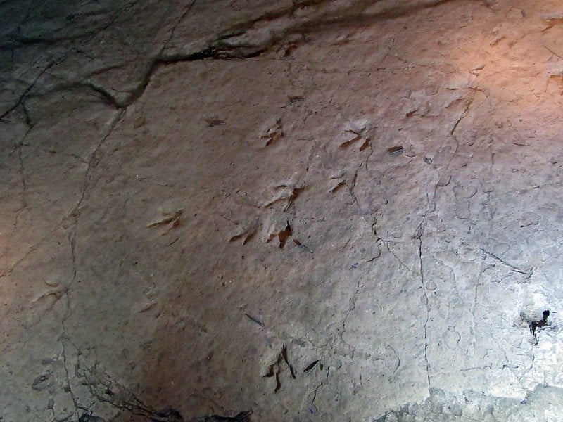 Dinosaurussporen in het Nationale Park Sataplia in Georgië